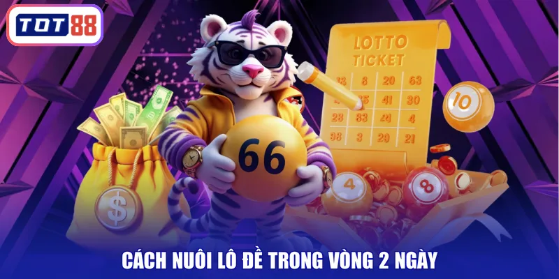 Cách nuôi lô đề trong vòng 2 ngày